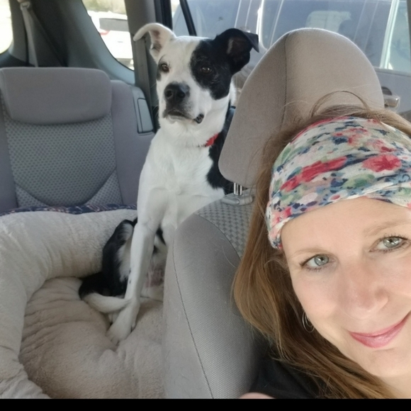 Meet your Posher, Trudy & Tanner.  "Man's best friend" - Picture 2 of 2